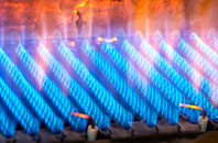 Leamonsley gas fired boilers